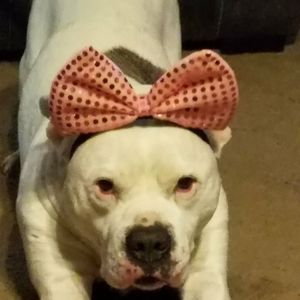 Meet your Posher, Joni